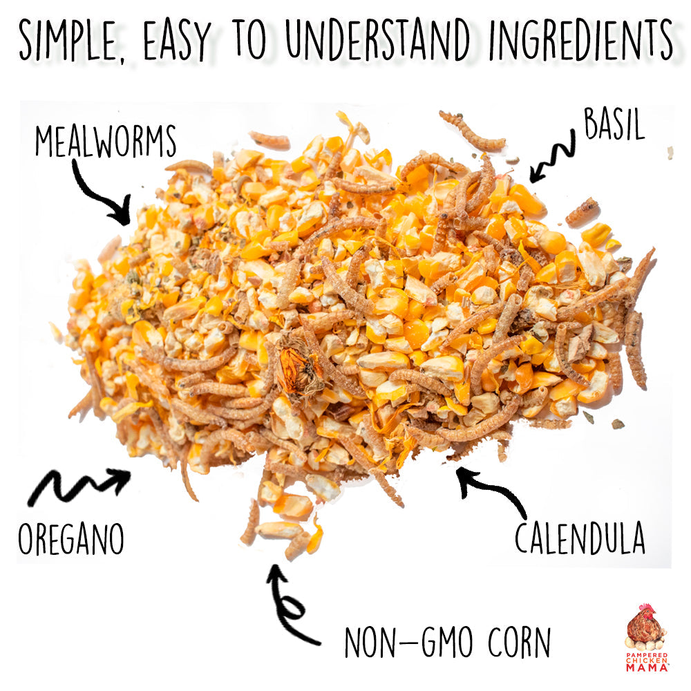 Mealworm for Chickens