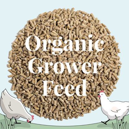 Buy Organic Grower Chicken Feed | Best Organic Grower Feed | Non-GMO