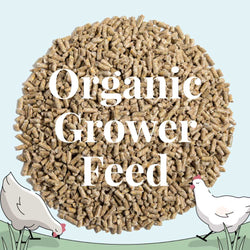 Buy Organic Grower Chicken Feed | Best Organic Grower Feed | Non-GMO