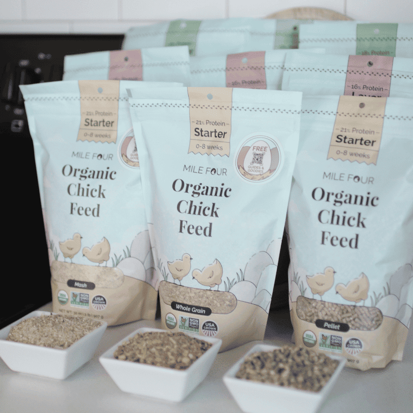 Buy Organic Starter Chicken Feed | Best Feed for Baby Chicks | Non-GMO 