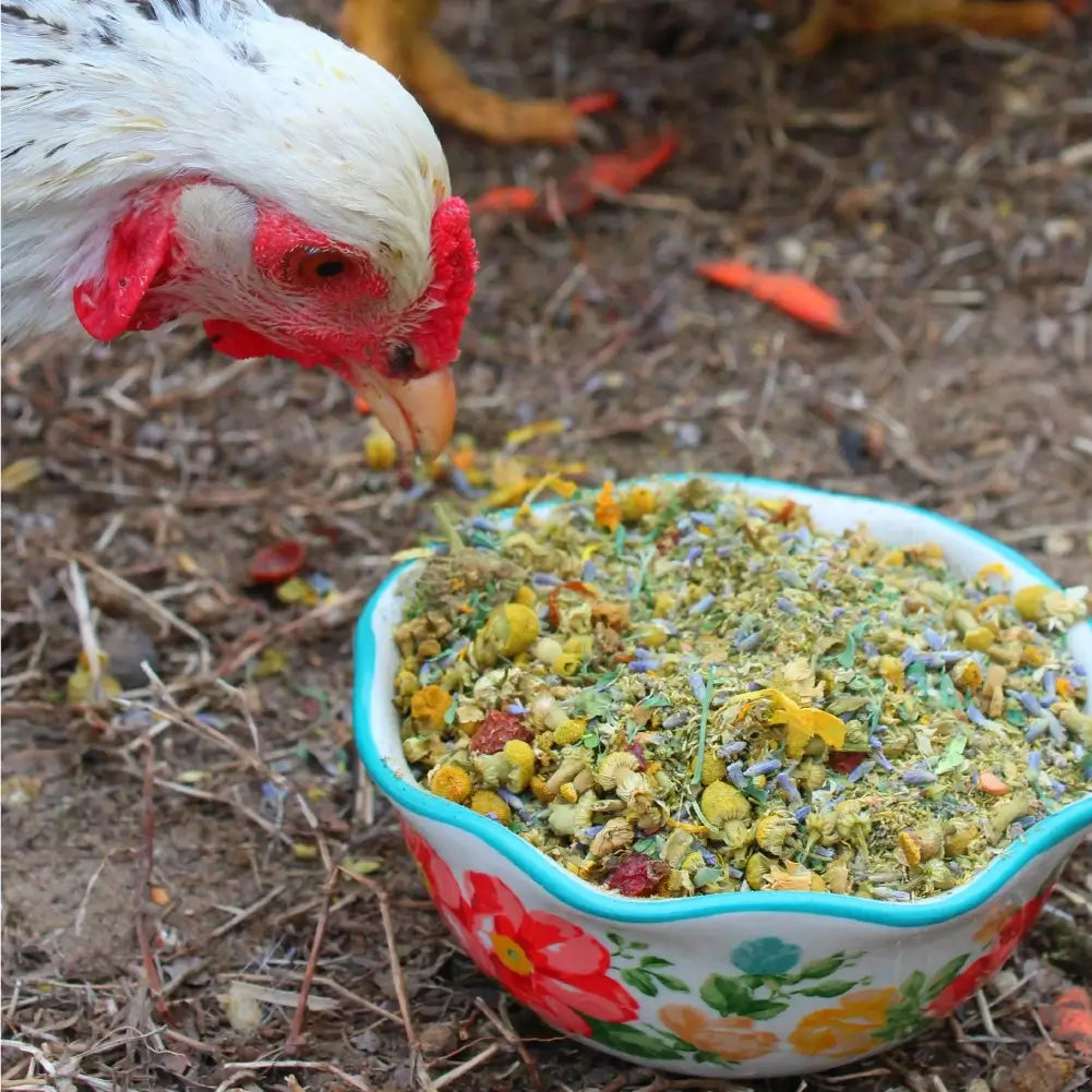 Pampered Chicken Mama organic nesting herbs packaging with dried flowers on a white background