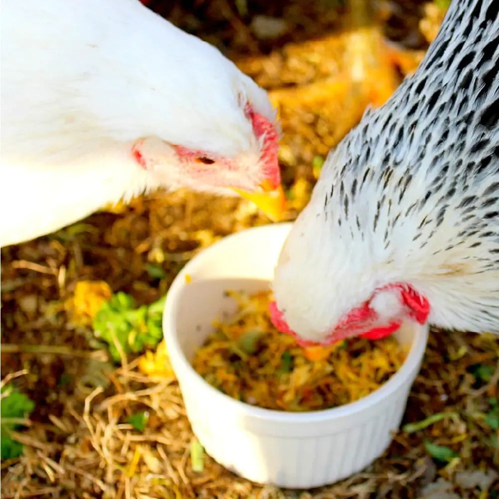 Pampered Chicken Mama organic nesting herbs packaging with dried flowers on a white background