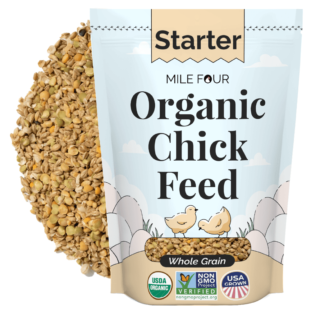 Buy Organic Starter Chicken Feed | Best Feed for Baby Chicks | Non-GMO 