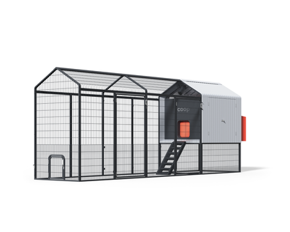 The Smart Coop + Steel Run