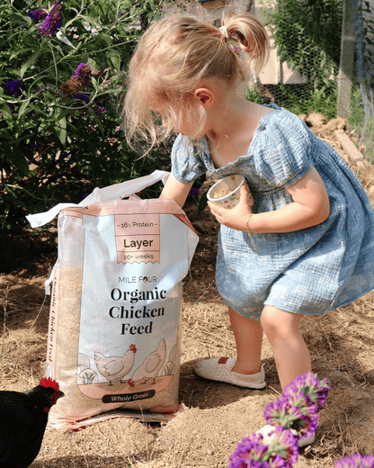 Buy Organic Starter Chicken Feed | Best Feed for Baby Chicks | Non-GMO 