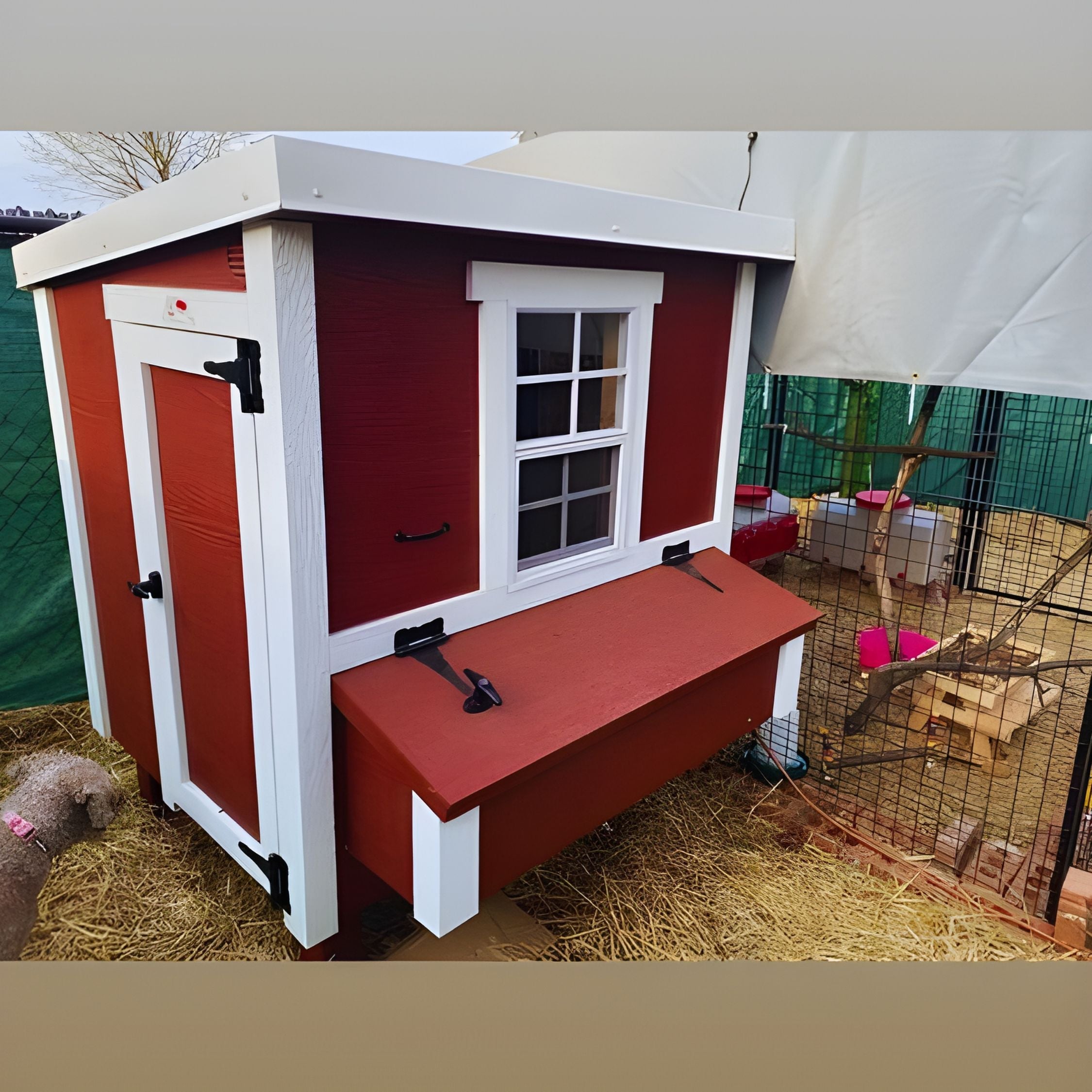 Chicken Coop Medium (10 Chickens)