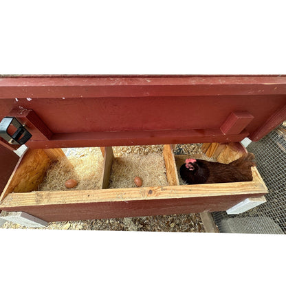 Chicken Coop Medium (10 Chickens)