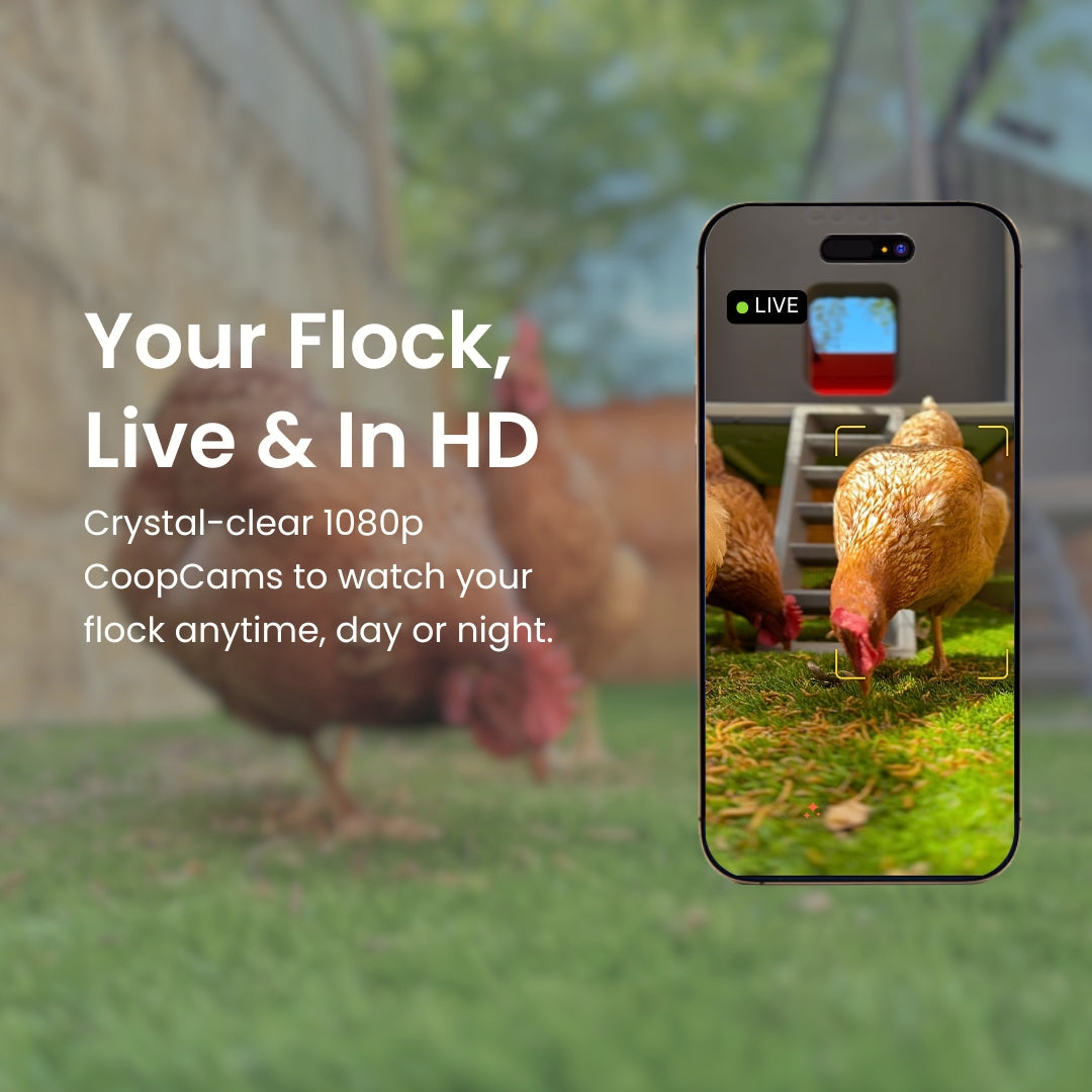 The Smart Coop, The Smart Coop Base, Smart Chicken Coop, AI Chicken Coop, Automated Chicken Coop, Smart Chicken Coop App