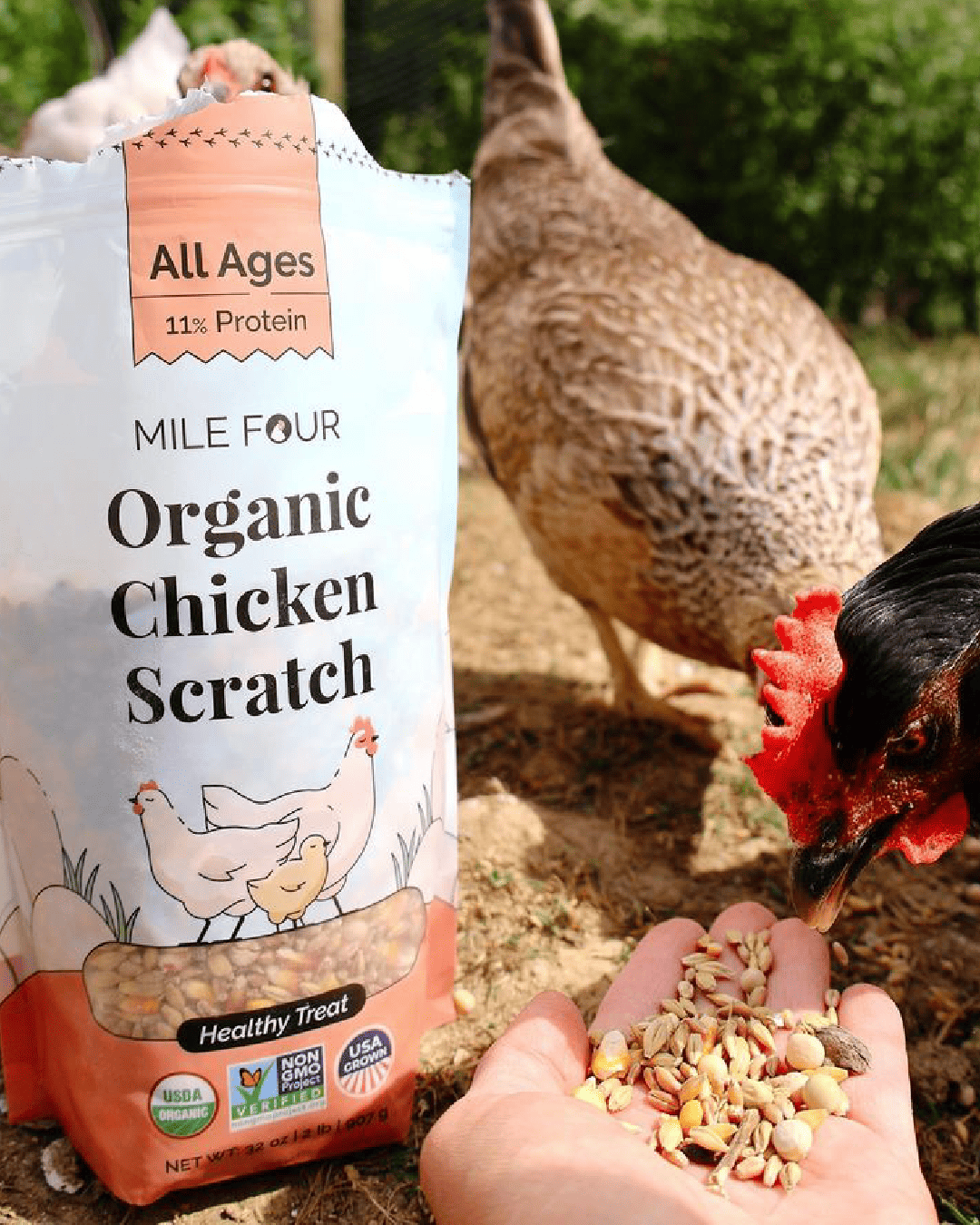 Organic scratch grain chicken feed