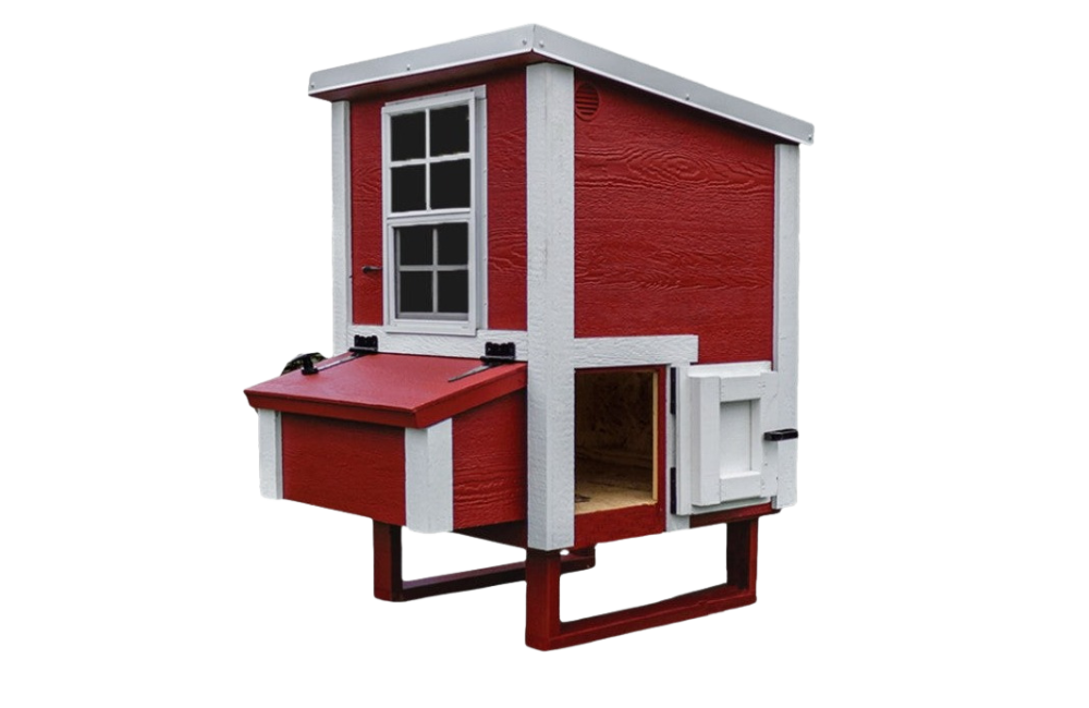 Chicken Coop Small (5 Chickens)
