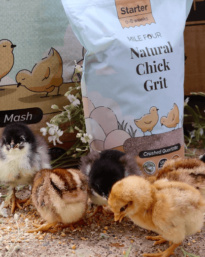 Buy Chicken Grit | Best Poultry Grit | Quartzite Chicken Grit | Grit