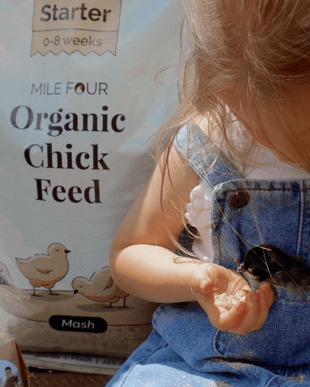 Buy Organic Starter Chicken Feed | Best Feed for Baby Chicks | Non-GMO 