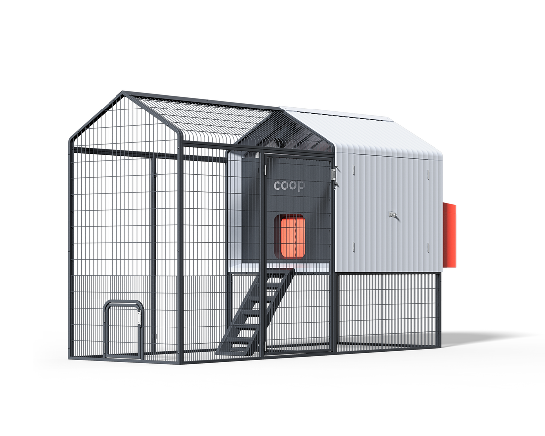 The Smart Coop, The Smart Coop Base, Smart Chicken Coop, AI Chicken Coop, Automated Chicken Coop, Smart Chicken Coop App