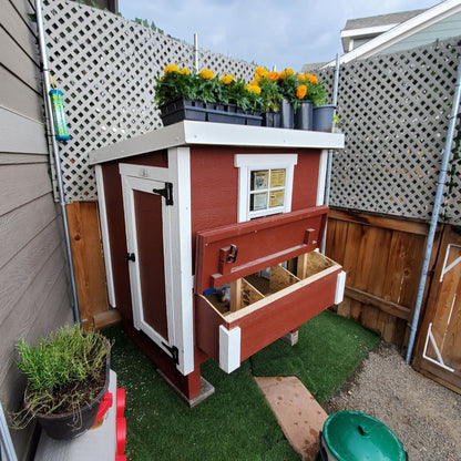 Chicken Coop Medium (10 Chickens)