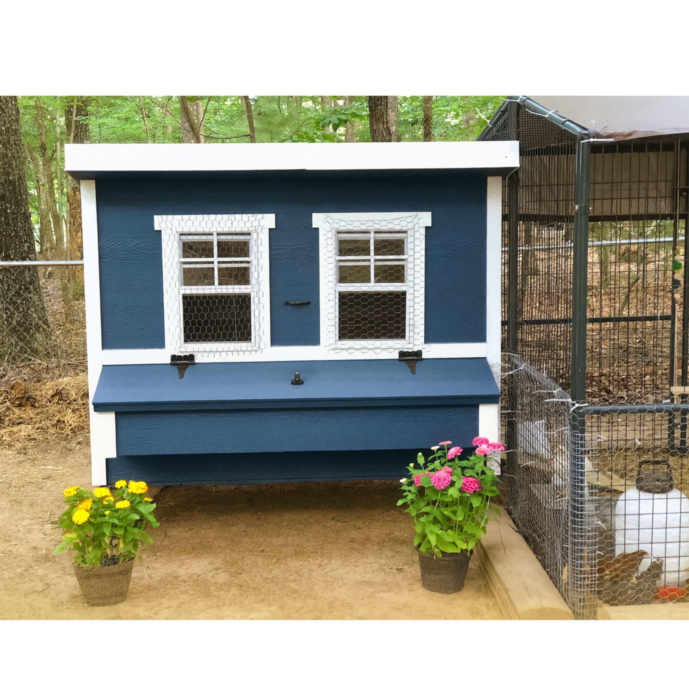 Chicken Coop Large (15 Chickens)