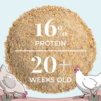 Buy Bulk Organic Chicken Feed | Save 75%+ Full Pallet Fresh Feed – Mile ...