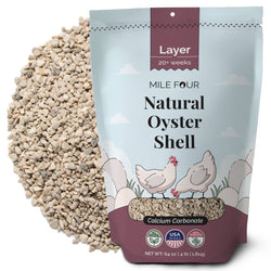 Buy Oyster Shell for Strong Chicken Eggs | Best Calcium Supplement