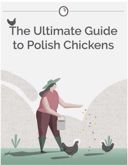 The Ultimate Guide to Polish Chickens E-Book 