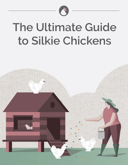 The Ultimate Guide to Silkie Chickens E-Book